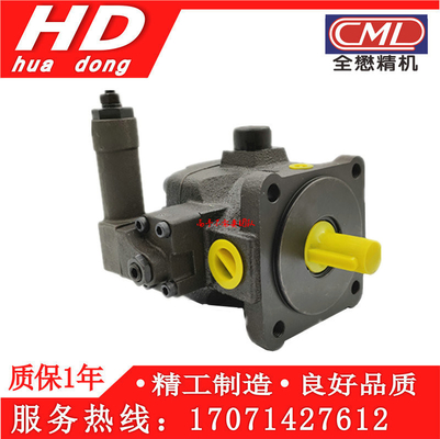 CML Hydraulic Machine Pump VCM-SM-40B-20 VCM-SM-40A-20 VCM-SM-30-B-20