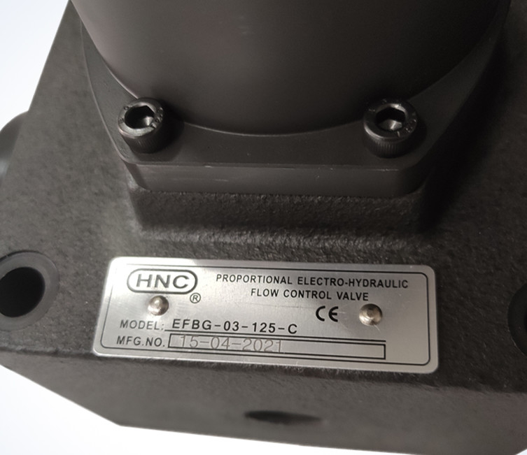 HNC hydraulic safety valve directional EFBG-03/06-125/160-C EFBG-06-25