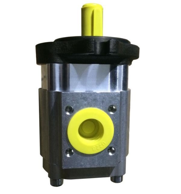 Gear Vane Hydraulic Machine Pump EIPH6-080RA23 EIPH3-020RK23 CE Certified