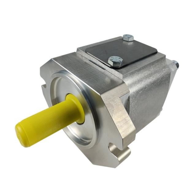 ECKERLE Gear Pump Hydraulic EIPC3-020RB23 EIPC3-020RK23 EIPS2-005RA